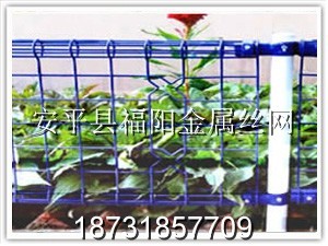 雙圈護欄網(wǎng)